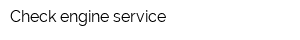 Check engine service