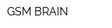 GSM BRAIN
