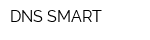 DNS SMART
