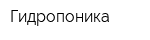 Гидропоника