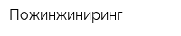 Пожинжиниринг