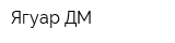 Ягуар ДМ