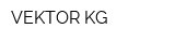 VEKTOR KG
