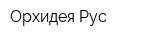 Орхидея Рус