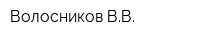 Волосников ВВ