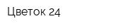 Цветок 24