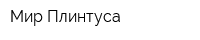 Мир Плинтуса