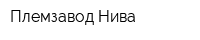 Племзавод Нива