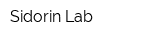 Sidorin Lab