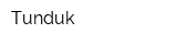 Tunduk
