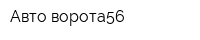 Авто-ворота56
