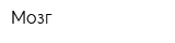 Мозг