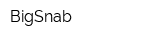 BigSnab