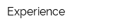 Experience