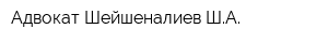 Адвокат Шейшеналиев ША