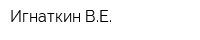 Игнаткин ВЕ