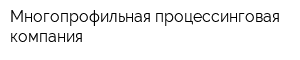 Многопрофильная процессинговая компания