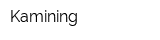Kamining
