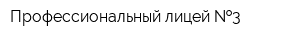Профессиональный лицей  3