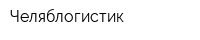 Челяблогистик