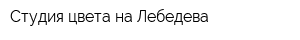 Студия цвета на Лебедева