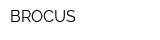 BROCUS