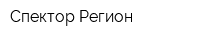 Спектор-Регион