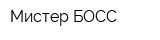 Мистер БОСС
