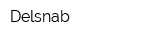 Delsnab