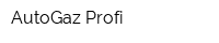 AutoGaz Profi