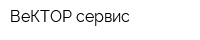 ВеКТОР-сервис