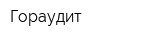Гораудит