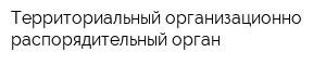 Территориальный организационно-распорядительный орган