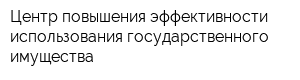 Центр повышения эффективности использования государственного имущества