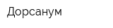 Дорсанум