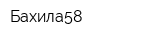 Бахила58