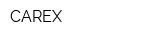 CAREX