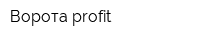 Ворота-profit