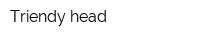 Triendy head