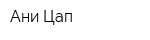 Ани Цап