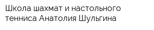 Школа шахмат и настольного тенниса Анатолия Шульгина