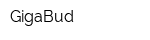 GigaBud