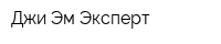Джи Эм Эксперт