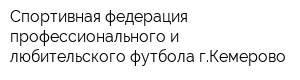 Спортивная федерация профессионального и любительского футбола гКемерово