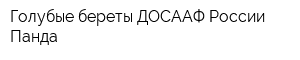 Голубые береты ДОСААФ России-Панда