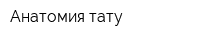 Анатомия тату