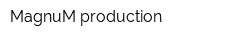 MagnuM-production