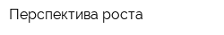 Перспектива роста
