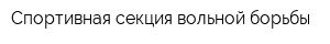 Спортивная секция вольной борьбы