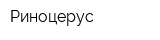 Риноцерус